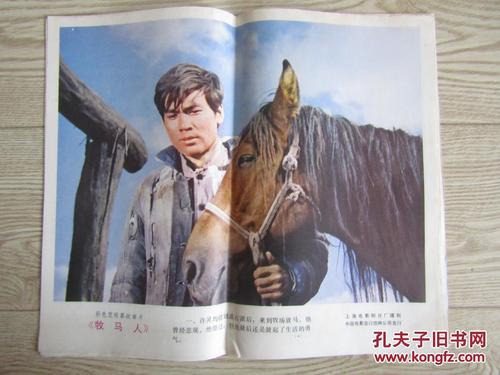 埃因霍温设计学院diploma